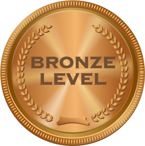 Bronze Level ($250)